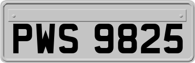 PWS9825