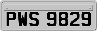 PWS9829