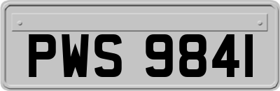 PWS9841