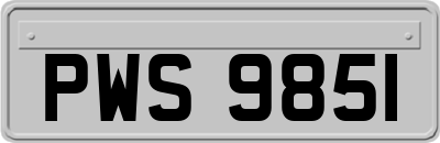 PWS9851