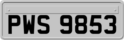 PWS9853