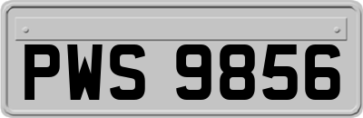 PWS9856