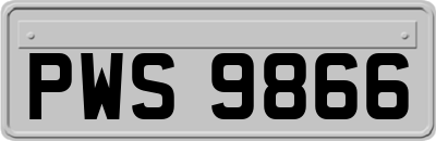 PWS9866