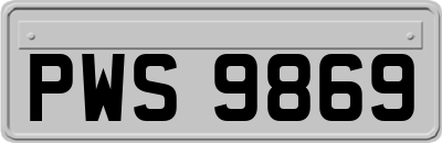 PWS9869