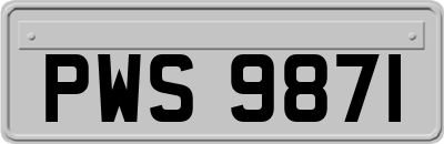 PWS9871