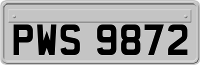 PWS9872