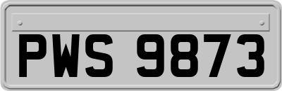 PWS9873