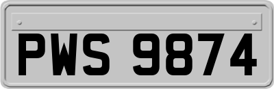 PWS9874