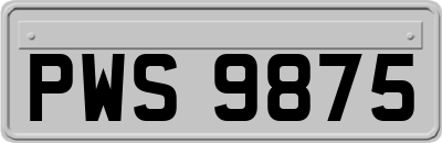 PWS9875