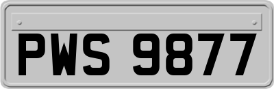 PWS9877