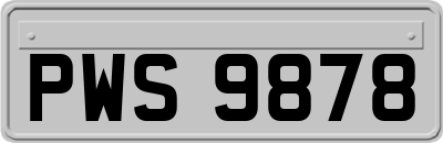 PWS9878