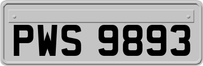 PWS9893