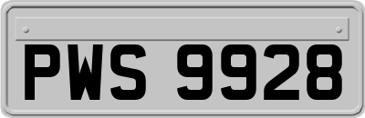 PWS9928