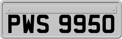 PWS9950