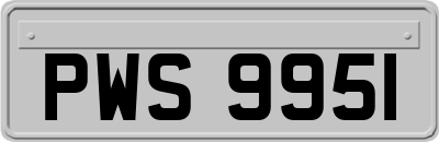 PWS9951