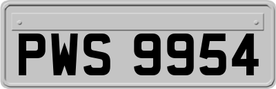 PWS9954