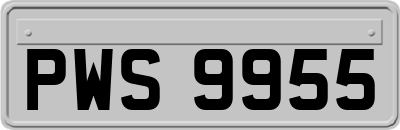 PWS9955