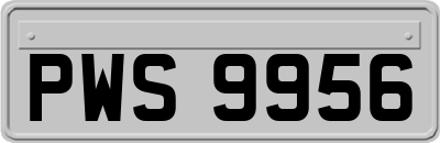 PWS9956