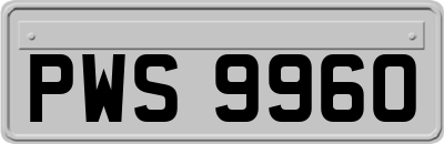 PWS9960