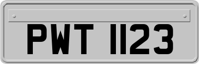 PWT1123