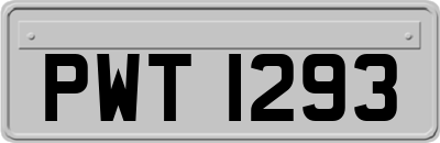 PWT1293