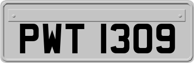 PWT1309