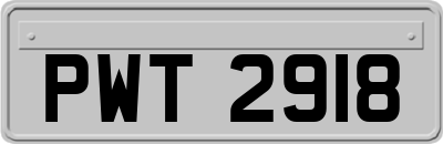 PWT2918