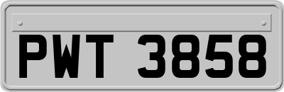 PWT3858