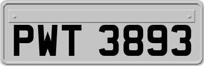 PWT3893