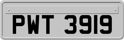 PWT3919