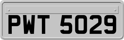 PWT5029