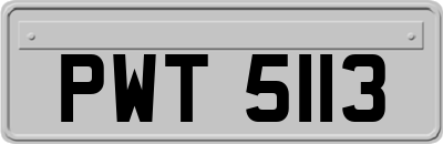 PWT5113