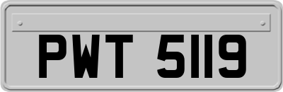 PWT5119