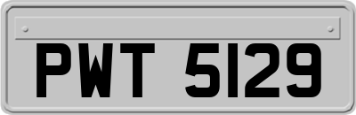 PWT5129