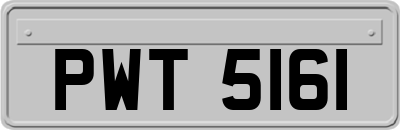 PWT5161