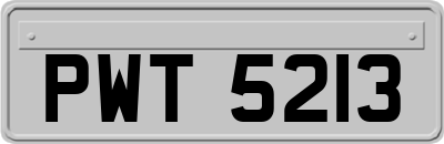 PWT5213