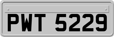 PWT5229