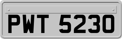 PWT5230