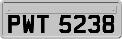 PWT5238