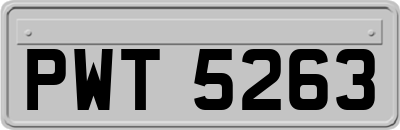 PWT5263