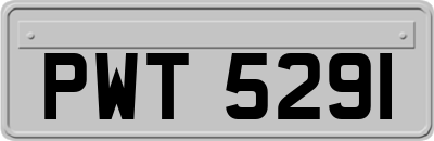 PWT5291