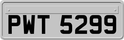 PWT5299