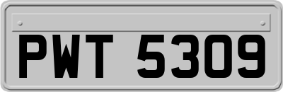 PWT5309