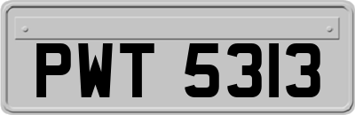 PWT5313