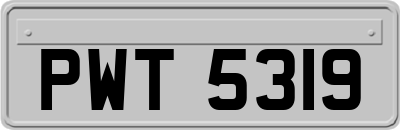 PWT5319