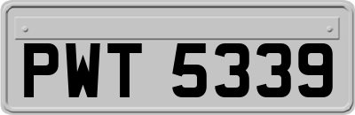 PWT5339