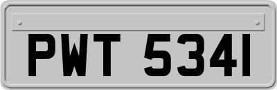 PWT5341