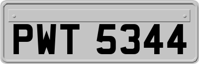 PWT5344