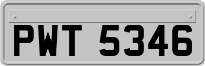 PWT5346