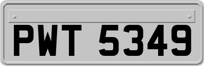 PWT5349